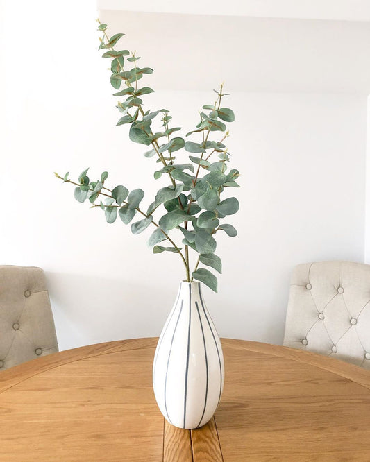 Eucalyptus Plant